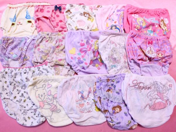 ★A620★ジュニア☆110☆キャラクター☆コットン☆パンティセットです♪■