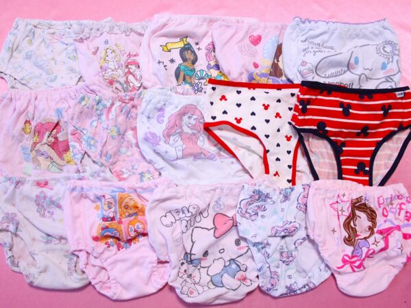 ★A629★ジュニア☆110☆キャラクター☆コットン☆パンティセットです♪■